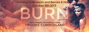 burn banner