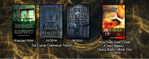 Sinner series banner