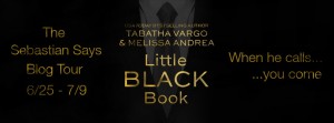 BlogTourBanner