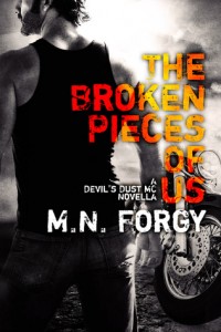 The Broken Pieces of Us by MN Forgy Release Blitz, Giveaway, & Review
