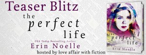 The Perfect Life by Erin Noelle- Teaser