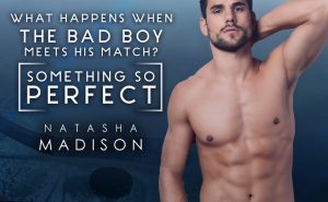 Something So Perfect by Natasha Madison Teaser