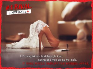 #1 Rival by Tina Gephart Teaser