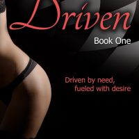 K. Bromberg’s Birthday Giveaway and Stephanie’s Driven Review