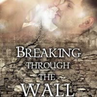 Breaking Through The Wall by Ashley Piscitelli Blog Tour Review & Giveaway