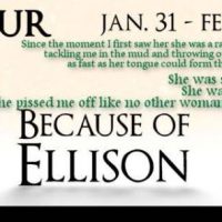 Because of Ellison by M.S. Willis Blog Tour