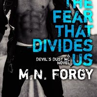 The Fear that Divides Us by M.N. Forgy Release Review and Giveaway