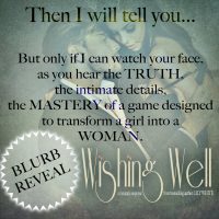 Wishing Well by Lily White Blurb Reveal