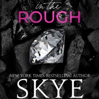 Diamond in the Rough by Skye Warren Blog Tour Review