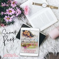 Perfect Wreckage by Catherine Cowles Sneak Peek