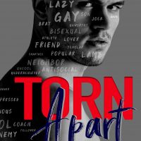 Torn Apart by K. Webster & Nikki Ash Cover Reveal