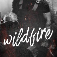 Wildfire by Jo-Anne Joseph Blog Tour Review
