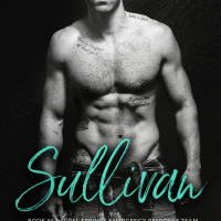 Sullivan by Laramie Briscoe Release Review