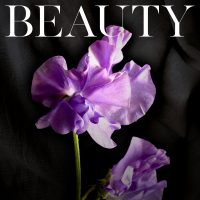 Hidden Beauty by Amelia Wilde Release Review