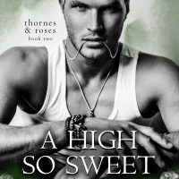 Cover Reveal A High So Sweet, by Dani Rene’