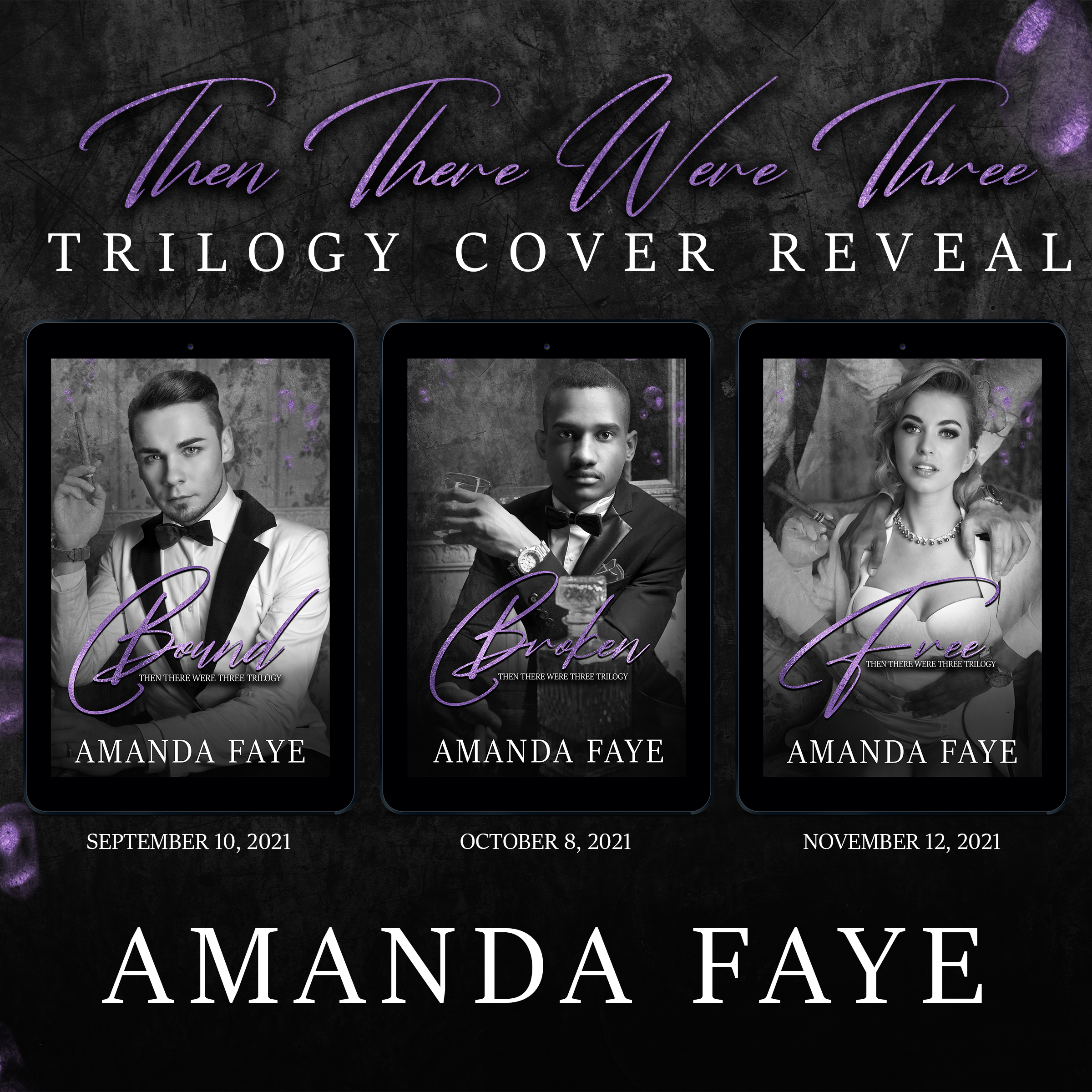 Cover Reveal: Bound/Broken/Free by Amanda Faye Â· Stephanie's Book Reports