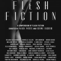 Cover Reveal: Flesh Fiction: A Compendium of Flash Fiction