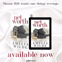 Net Worth by Amelia Wilde Release and Review
