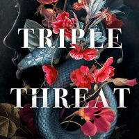 Cover Reveal: Triple Threat by K Webster