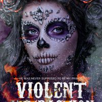 Blog Tour: Violent Attraction by Jocelyne Soto