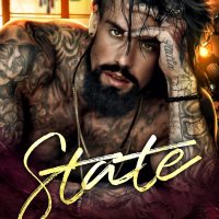 Blog Tour: State by Lila Rose