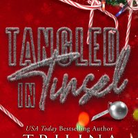 Blog Tour: Tangle in Tinsel by Trilina Pucci