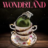 Cover Reveal: Wonderland by Alta Hensley