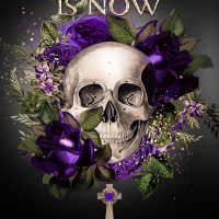 Blog Tour: The Time Is Now by Emma Luna
