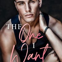Promo: The One I Want by Siobhan Davis