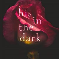 Cover Reveal: His In The Dark by Willow Winters