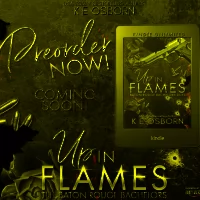 Teaser Blast: Up In Flames by K.E. Osborn