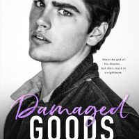 Blog Tour: Damaged Goods by L.J. Shen