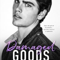 Cover Reveal: Damaged Goods by L.J Shen