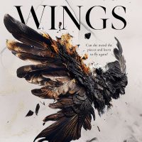 Broken Wings by Erika Ashby Release & Review