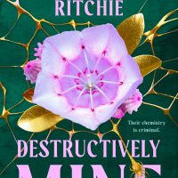 Destructively Mine by Krista & Becca Ritchie Is Now Live