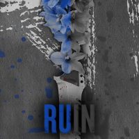 Blog Tour: Ruin by Ruby Wolff